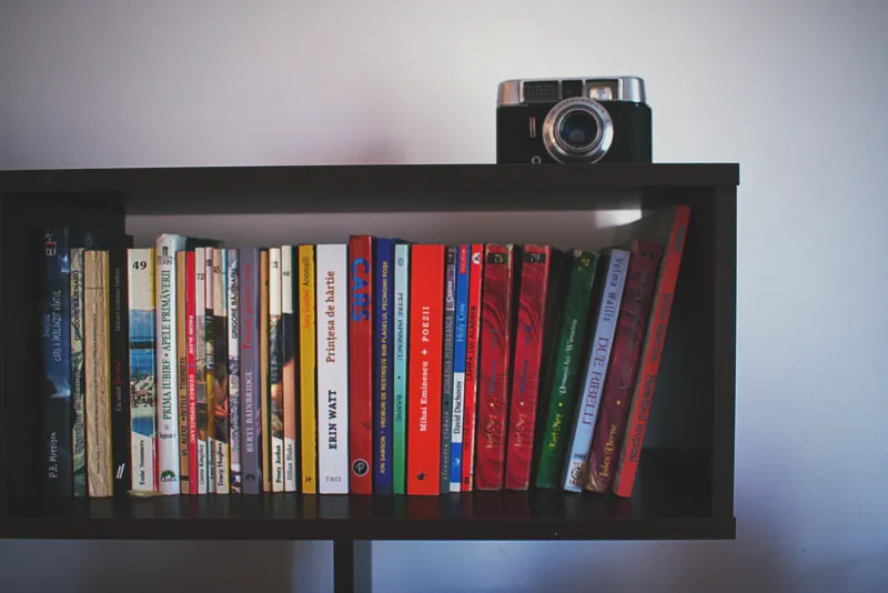 Box Set or Bust: The Glorious Rebellion of Watching TV on Your Own Terms Again